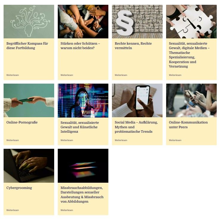 Vorschau der Module der Online-Fortbildung